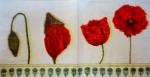 027 Anemonen, Mohn - 3-lagig - Ambiente