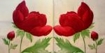 029 Anemonen, Mohn - 3-lagig - Duni