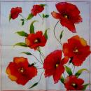 039 Anemones, Poppy (weiß) - Ihr
