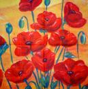 040 Anemones, Poppy - 3-ply