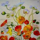 048 Anemones, Poppy - 3-ply (cream) - Home Fashion
