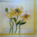 049 Anemones, Poppy - Arko