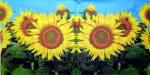 062 Sonnenblumen - 3-lagig