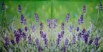 044 Lavender - ppd - frog art