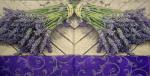 050 Lavender - Paw
