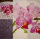 028 Orchids - Paper Design