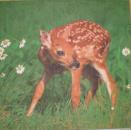 076 Deer - 3-ply