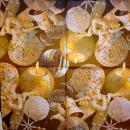 144 Angel (brown) - Atelier