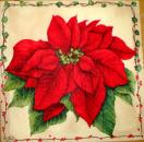 020 Christmas Flowers - Ambiente