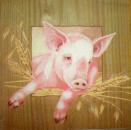 026 Pigs - 3-ply - Ambiente