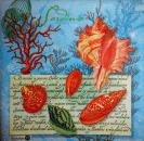 037 Shellfish - 3-ply - ppd - Punch - CS