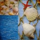 038 Shellfish - 3-ply - Atelier