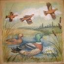003 Ducks - 3-ply - Stewo
