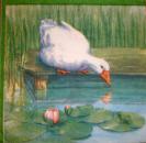 004 Ducks - 3-ply - WIDA - 35x35cm