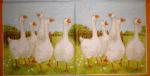021 Ducks - 3-ply - Atelier