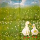 027 Ducks - 3-ply - Ihr