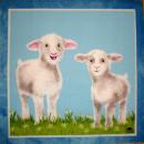 010 Sheep - 3-ply - Fasana