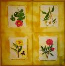 143 Rosen - 3-lagig