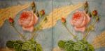 198 Roses - 3-ply - Paper Design