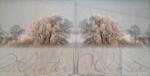 010 Winter Landscape - 3-ply (10) - Paper Design - CS