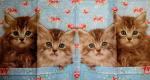 141 Cats - 4-ply - Paper Design - Handkerchief
