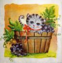 174 Katzen - 3-lagig - Fresh Look