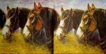 078 Horses - 3-ply - Ashdene