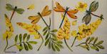 013 Insects - 3-ply (yellow) - MOLCA