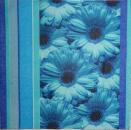 094 Daisies - 3-ply