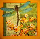 003 Insects - 3-ply - ppd - Heidi Dobrott / DSW