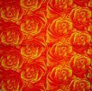 211 Rosen - 3-lagig (orange) - Ti-Flair