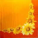 121 Daisies  - 3 ply
