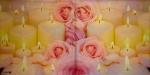 247 Rosen - 3-lagig - Stewo