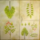 139 Plants - 3-ply (cream) - Ihr
