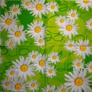 150 Daisies  - 3 ply