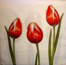 044 Tulips - 3 ply - (white) - Ihr