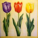 090 Tulips - 3 ply - Ambiente