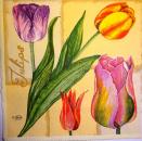 092 Tulips - 3 ply - Ambiente