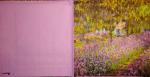 185 Garden - 3-ply - Stewo - Claude Monet
