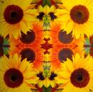 087 Sonnenblumen - 3-lagig - Fasana