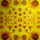 090 Sonnenblumen - 3-lagig
