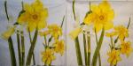 060 Daffodils - 3-ply - Herlitz - CS