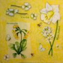 068 Daffodils - 3-ply - Viva