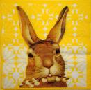 009 Rabbits:  natürlich - 3 ply - (yellow) - ti-flair