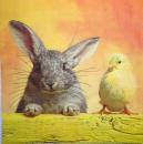 038 Rabbits:  natürlich - 3 ply - ti- flair