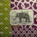 056 Elephant - 3-ply - ppd - Paula Scaletta