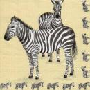 016 Zebra - 3-ply - Ambiente
