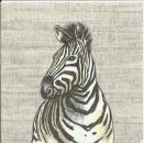 015 Zebra - 3-ply - ppd