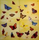 057 Butterflies - 3 ply (yellow) - Ihr