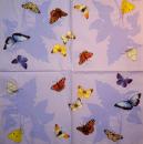 087 Butterflies - 3 ply - Ambiente